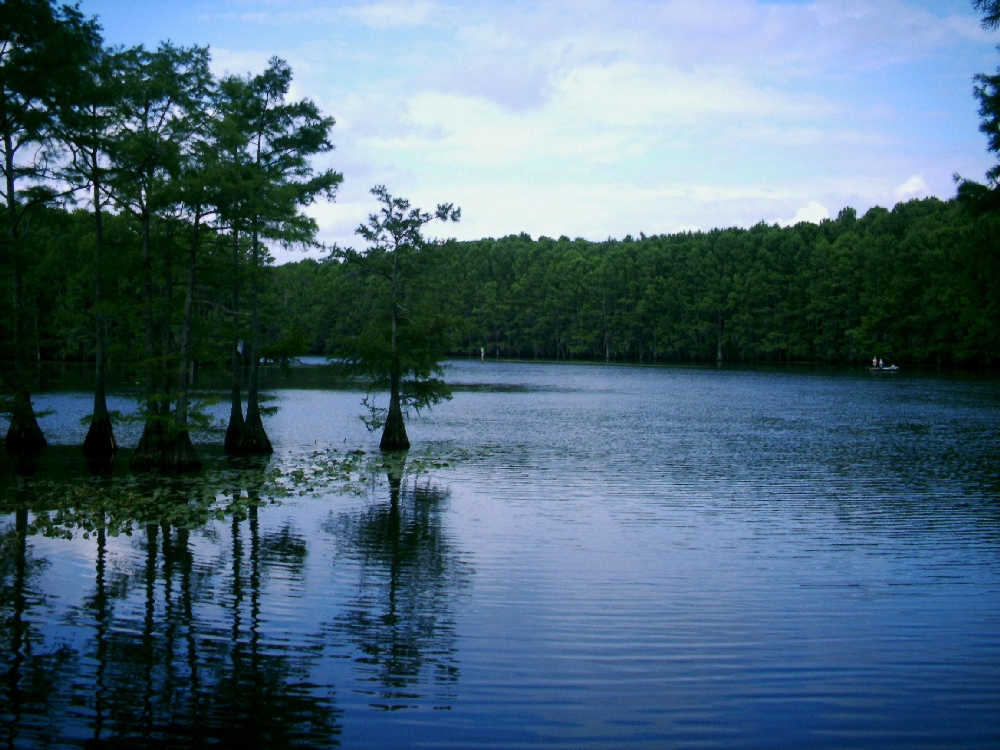 Caddo Lake, United States