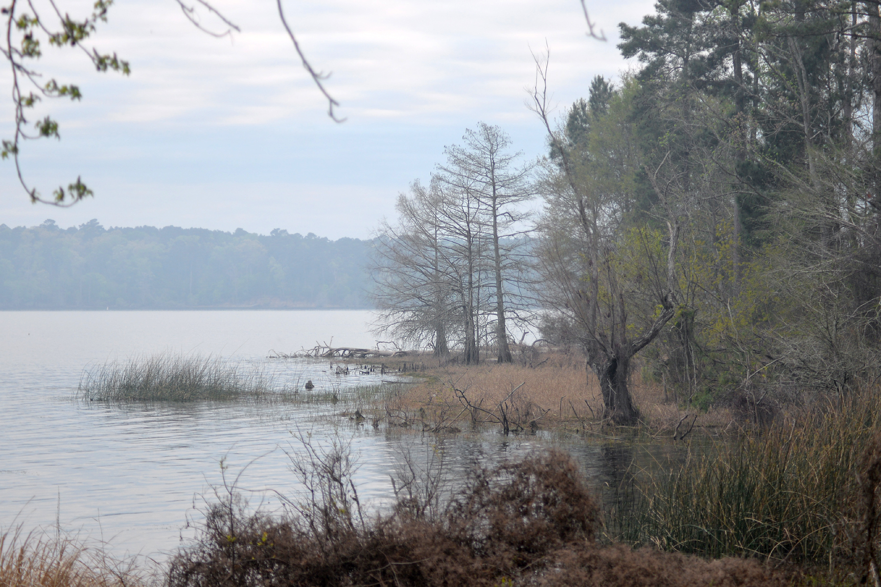 Toledo Bend Reservoir
